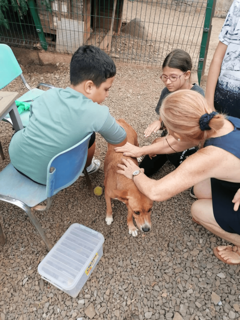 Visita ao canil Patinhas Felizes