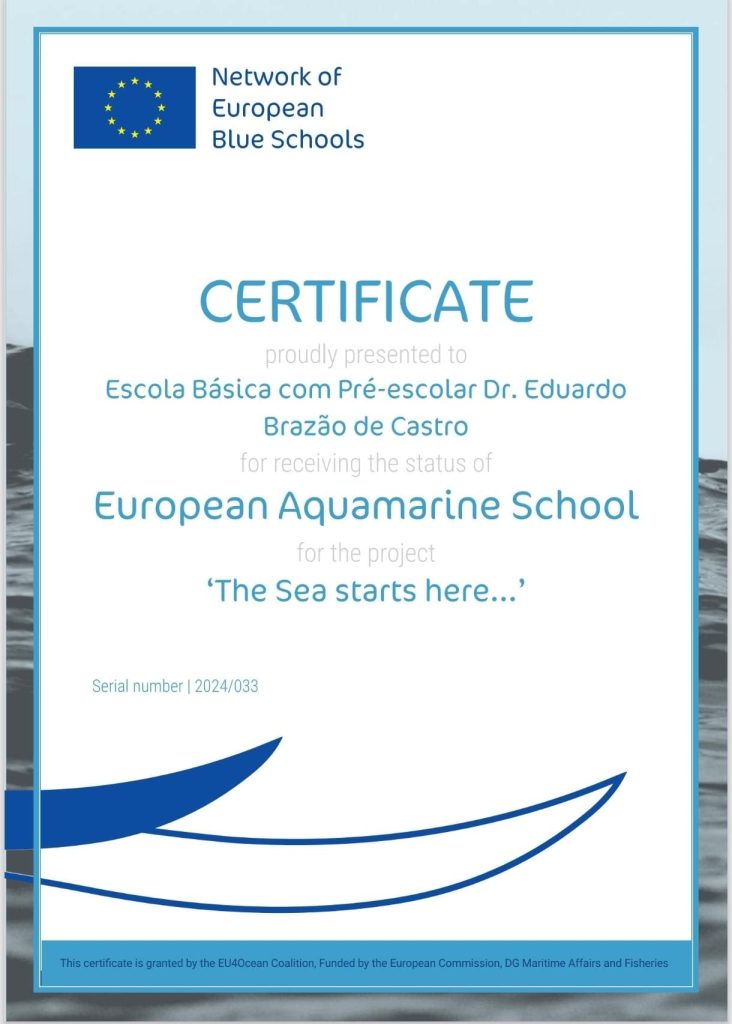 Aquamarine Blue School Certificate