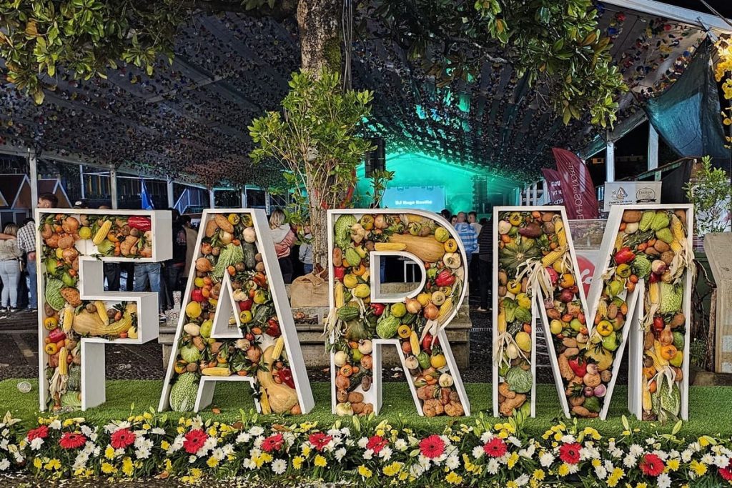 Visita de estudo ao Festival Agrícola e Repentista da Madeira (FARM)