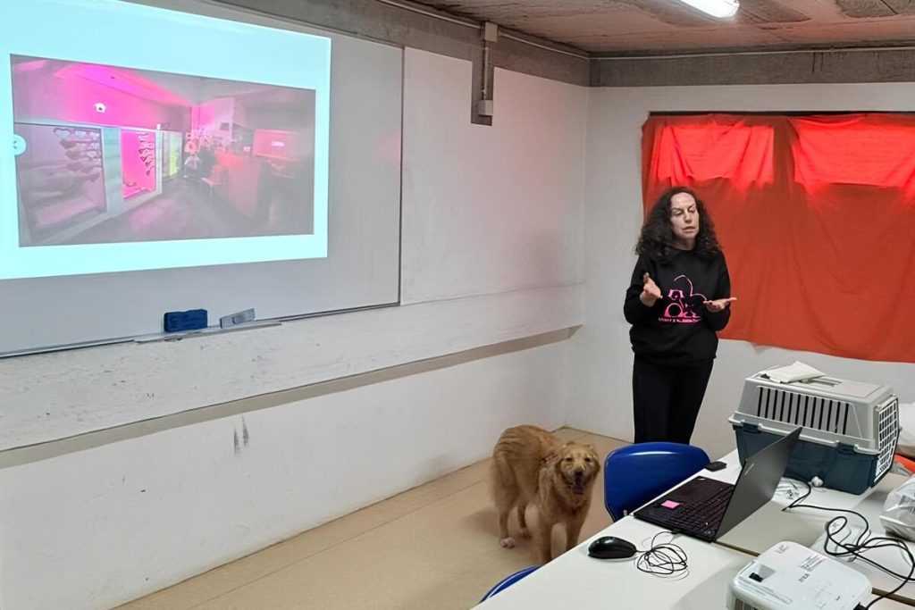 Palestra | Bem-estar animal