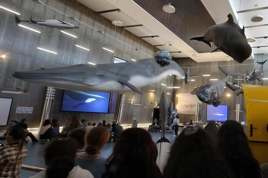 Visita de Estudo – Museu da Baleia
